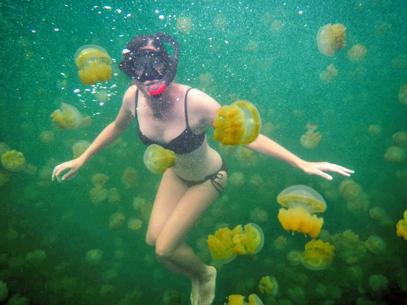 125511 Более 25 медуз напали на туристку на Сицилии