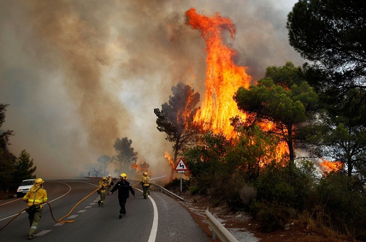 125694 На юге Португалии бушуют пожары