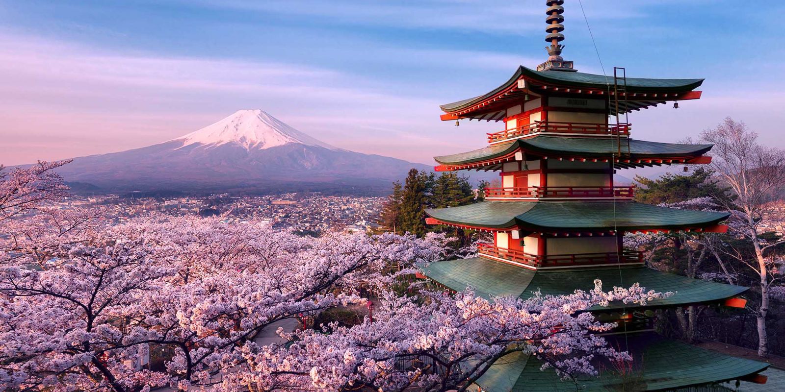128497 Туристический налог ввели в японском городе Киото
