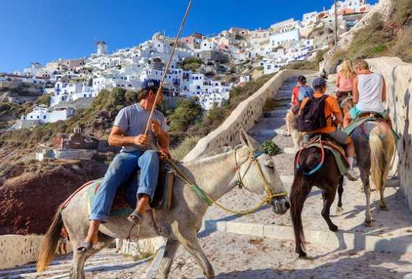 128321 Власти Греции запретили некоторым туристам кататься на ослах