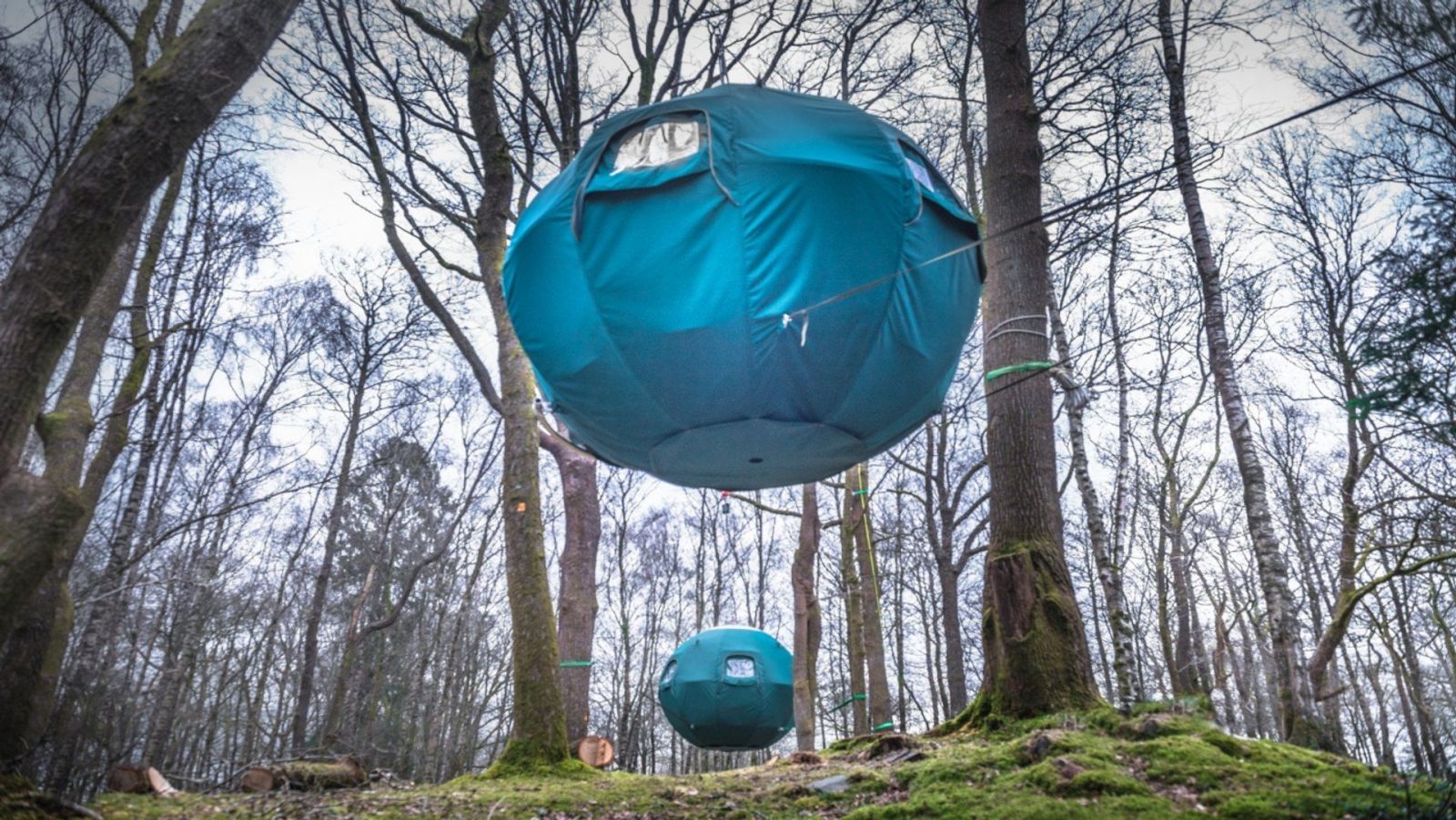 132871 В парке Lake District создали палаточный городок на деревьях