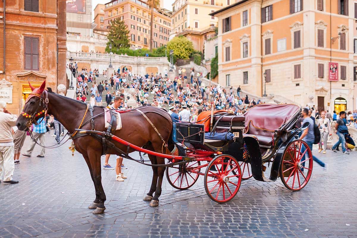 135253 В Риме запрещают конные повозки «боттичелле»