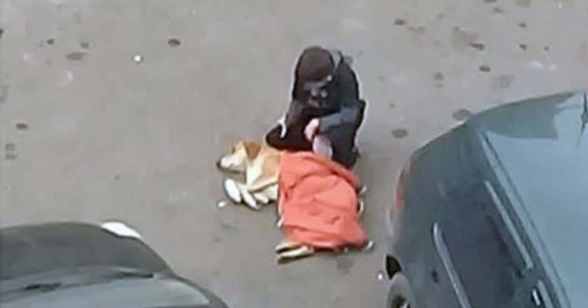 Добрый мальчик укрыл своей курткой замерзающую собаку