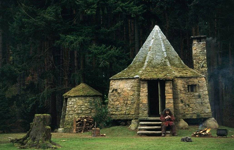 Лиам Пейн построил в своем саду копию хижины Хагрида из &#171;Гарри Поттера&#187;: фото
