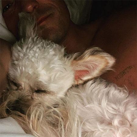 Орландо Блум взял из приюта собаку после гибели любимого пса Майти: фото