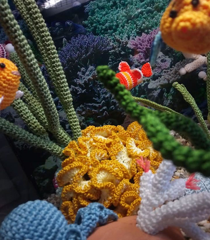 Женщина связала реалистичный аквариум из цветной пряжи