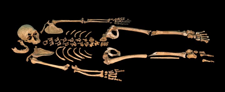 159061 Кости захороненного 40 000 лет назад ребенка раскрыли тайну неандертальцев