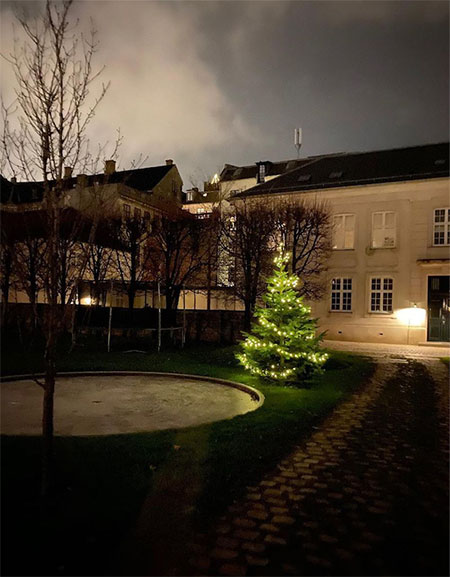 Королевская семья Дании показала интерьеры украшенного к Рождеству дворца Амалиенборг